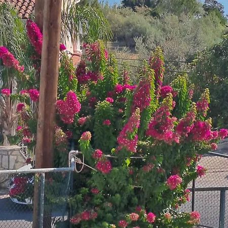 Διαμέρισμα Bougainvillea