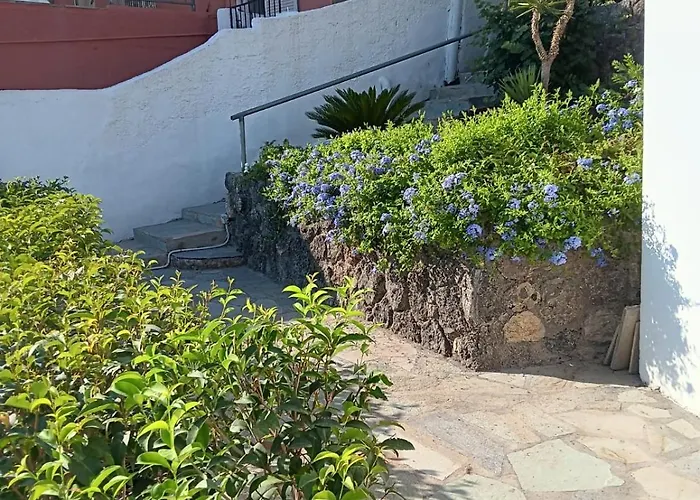 Bougainvillea * Corfu (city)