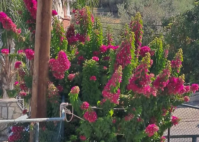 公寓 Bougainvillea